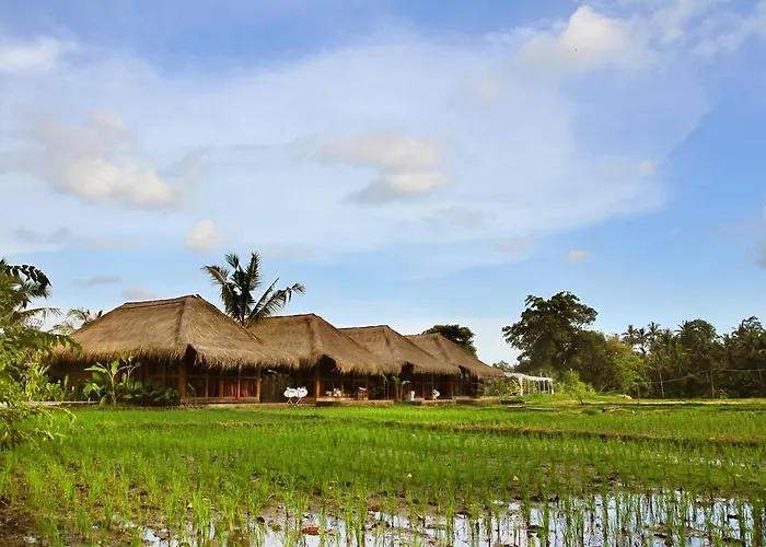 Sapulidi & Gallery Bali 4* ウブド