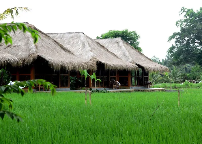 Sapulidi & Gallery Bali リゾート