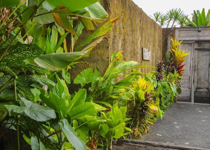 Sapulidi & Gallery Bali リゾート