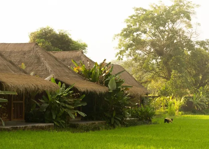 Sapulidi & Gallery Bali リゾート ウブド